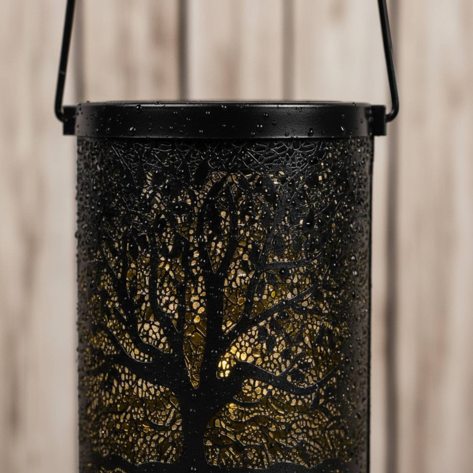 Tree Pattern Outline Lamp Auto - Outdoor Lighting On Trees avis et prix