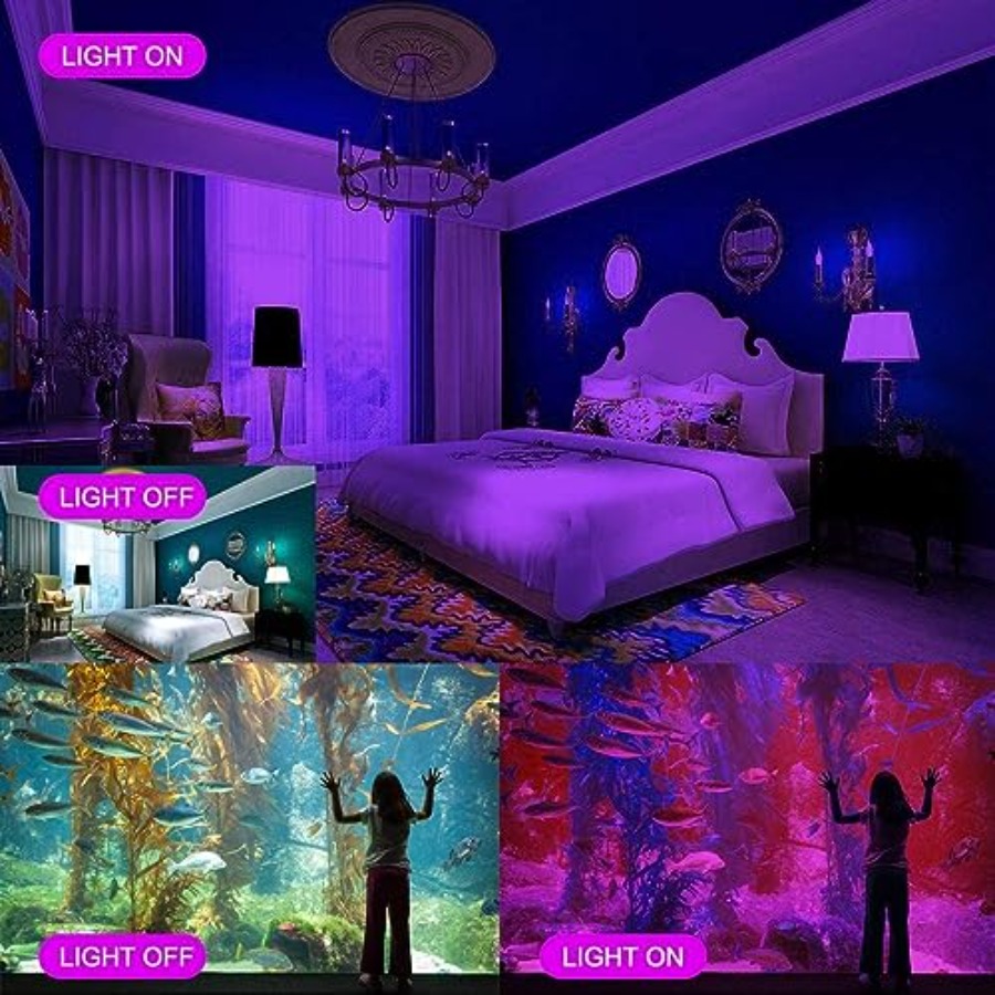 Black Lights 2 Pack W LED Blac - Led Flood Light avis et prix
